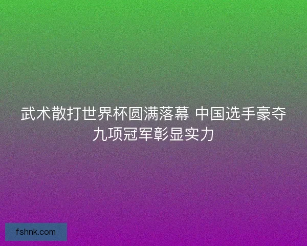 武术散打世界杯圆满落幕 中国选手豪夺九项冠军彰显实力